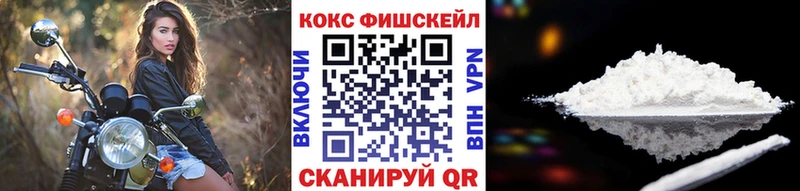 КОКАИН Fish Scale  где найти наркотики  Суджа 