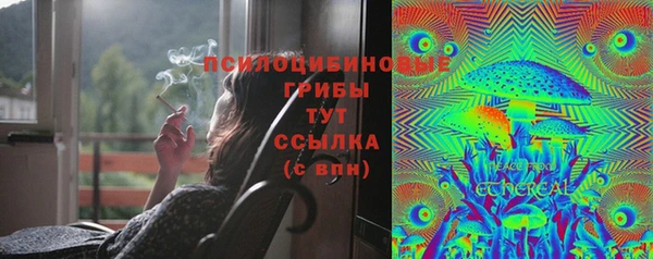 бошки Кулебаки