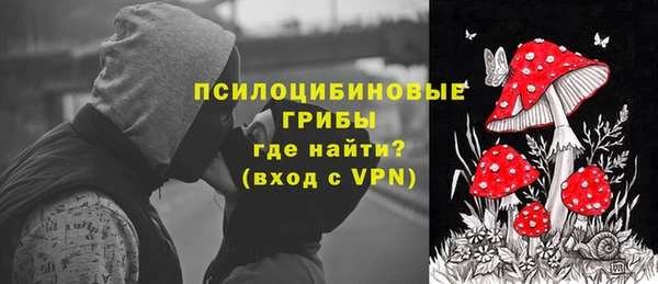 твердый Ладушкин