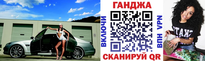 Конопля индика Суджа
